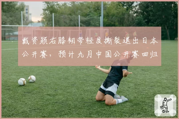 戴资颖右膝韧带轻度撕裂退出日本公开赛，预计九月中国公开赛回归