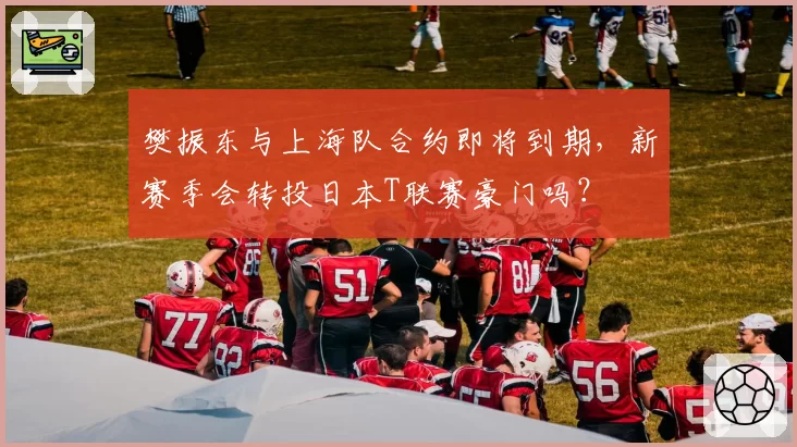 樊振东与上海队合约即将到期，新赛季会转投日本T联赛豪门吗？