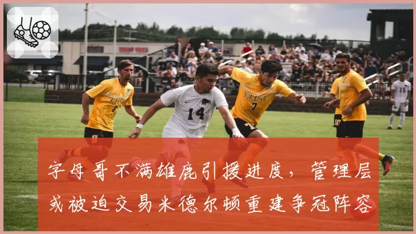 字母哥不满雄鹿引援进度，管理层或被迫交易米德尔顿重建争冠阵容